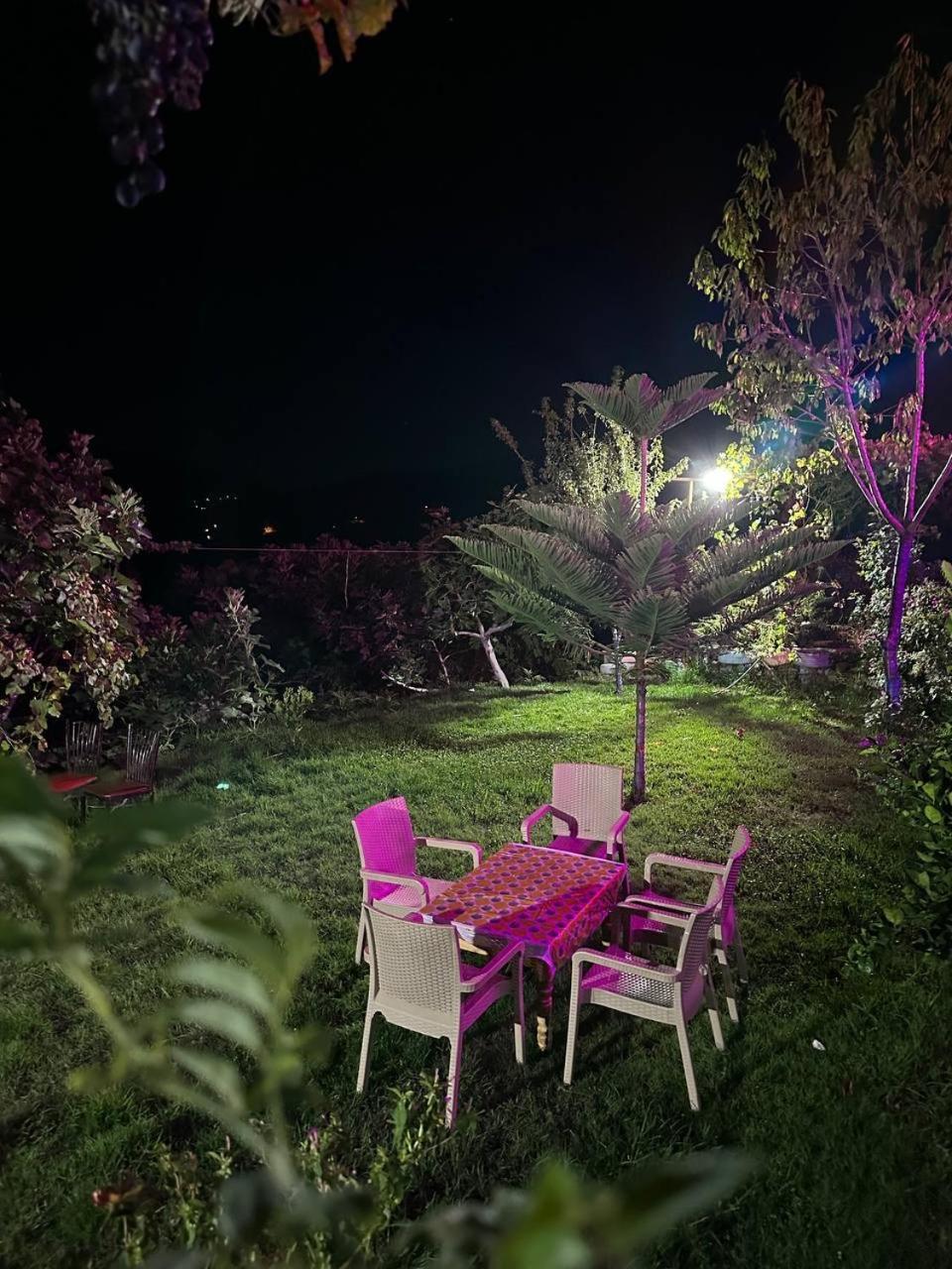Dar La Ziza Bed and Breakfast Bab Tazza Exteriör bild