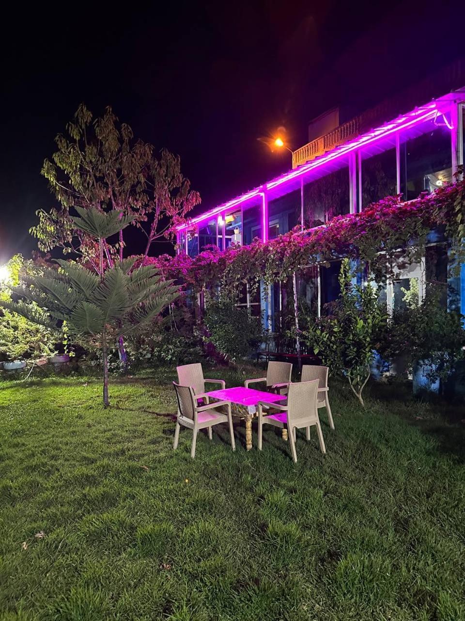 Dar La Ziza Bed and Breakfast Bab Tazza Exteriör bild