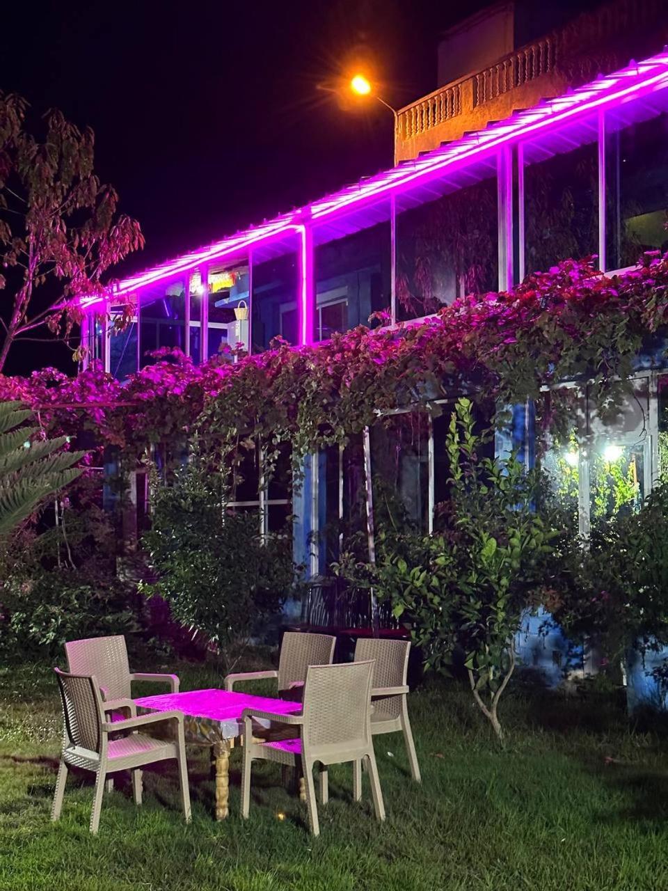 Dar La Ziza Bed and Breakfast Bab Tazza Exteriör bild